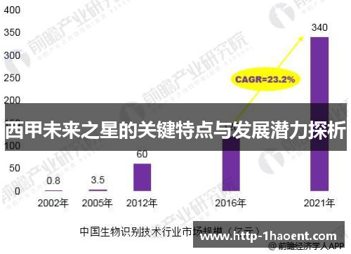 西甲未来之星的关键特点与发展潜力探析